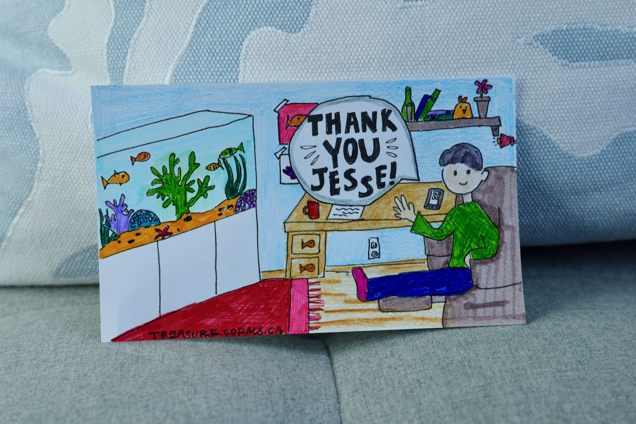 Testimonial: Jesse