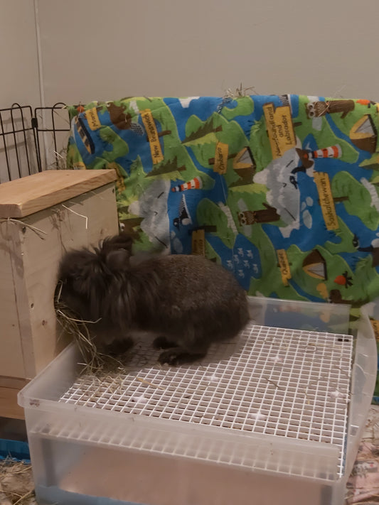 Frag Legs Used for Rabbits