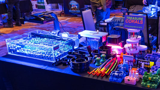 Setting Up Coral Show Frag Tank
