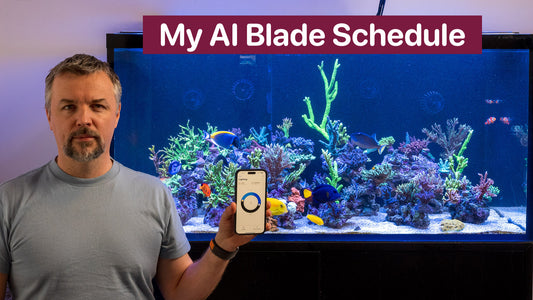 My AI Blade Schedule