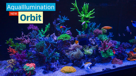 AquaIllumination Orbit First Look
