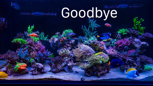 Goodbye To This SPS Reef