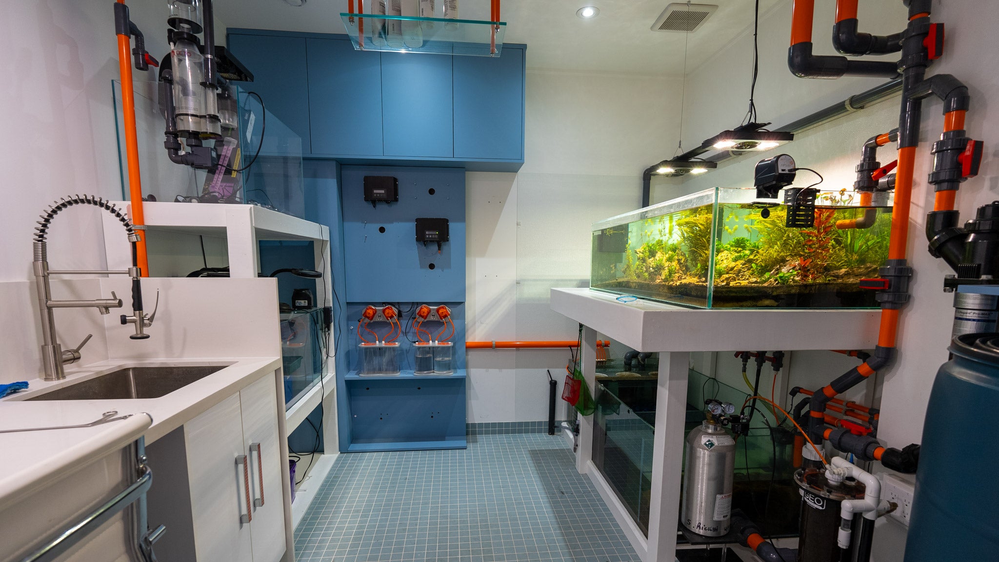 Freshwater Aquarium Mod Treasure Corals
