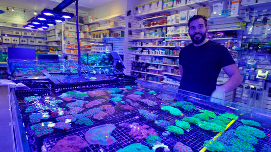 Ultimate Fragbox Coral Store Tour