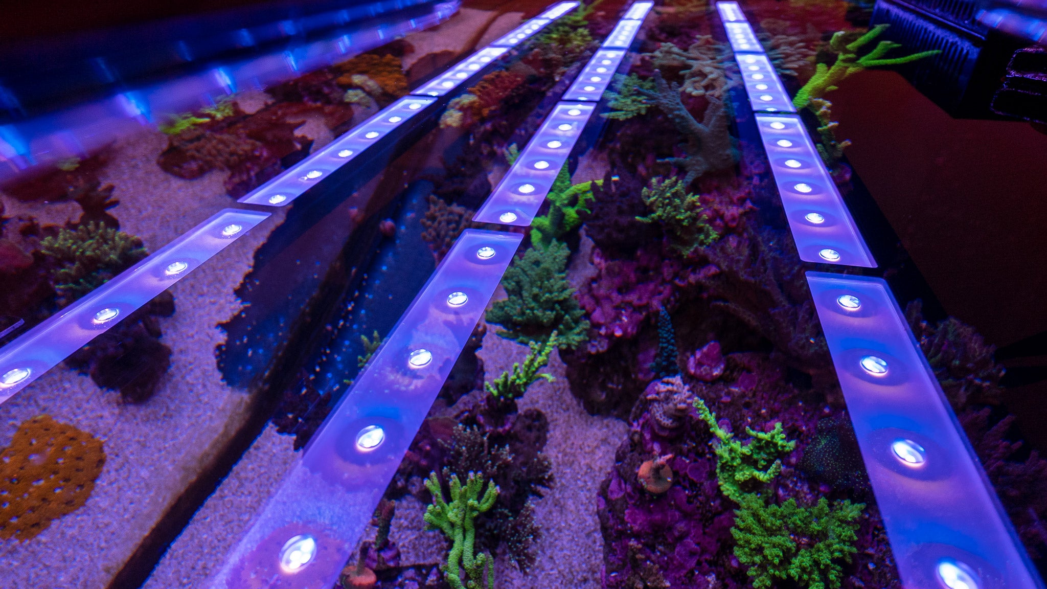 Using AI Blade As Standalone Light?