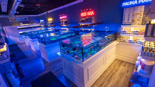 High End Reef Store