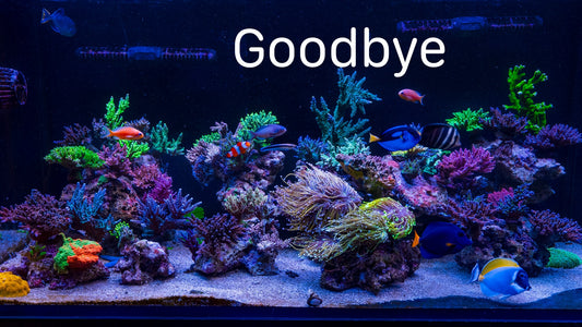 Goodbye To This SPS Reef