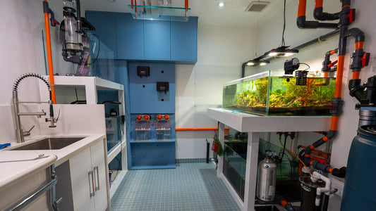 Freshwater Aquarium Mod