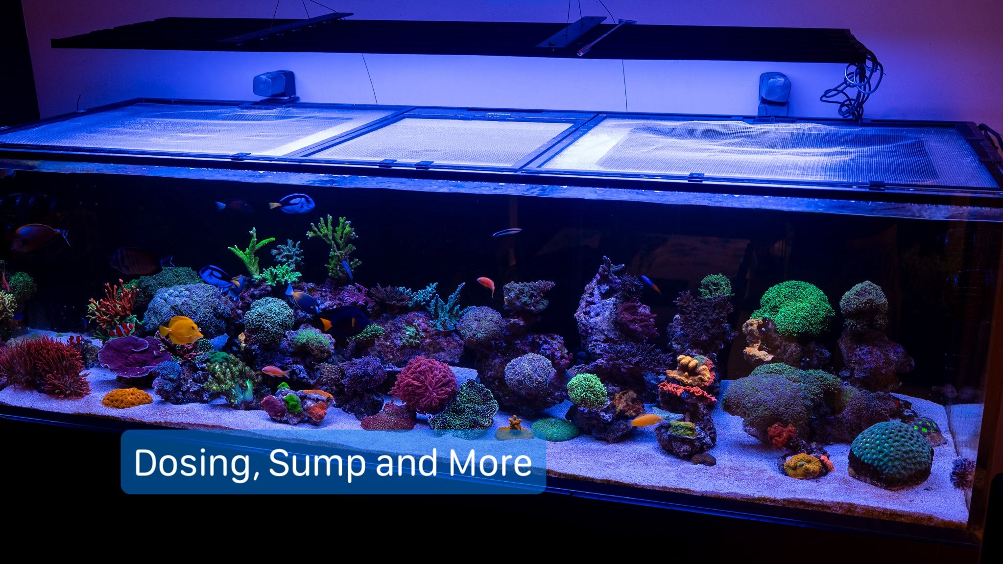 Waterbox Sump
