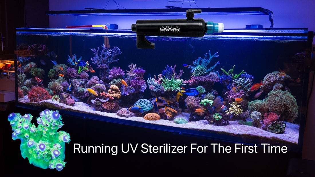 Running UV Sterilizer