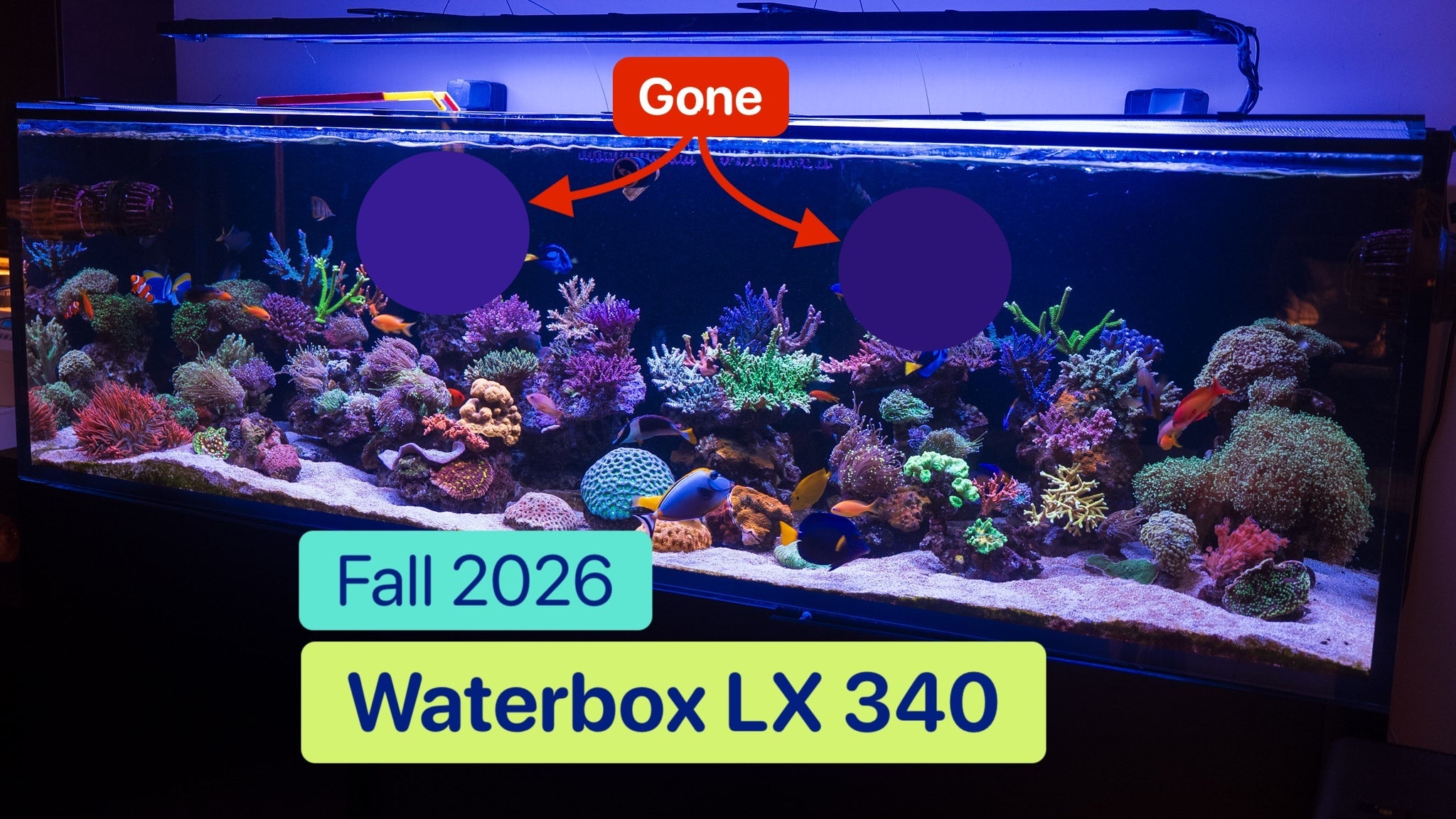 Waterbox LX 340