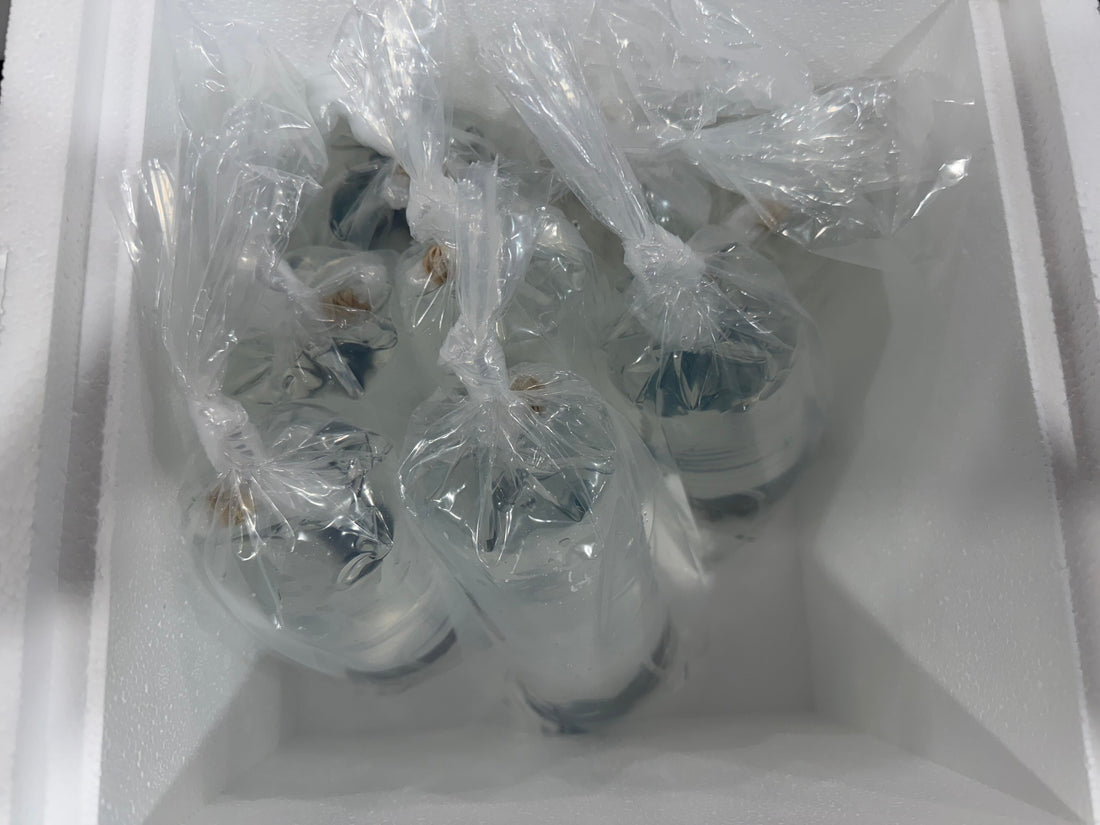 Shipping Corals In Canada
