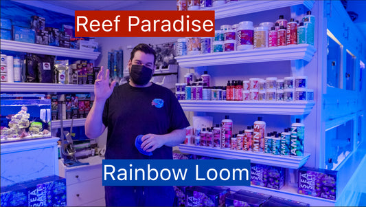 Reef Paradise Store Visit / Fragging Rainbow Loom Acropora