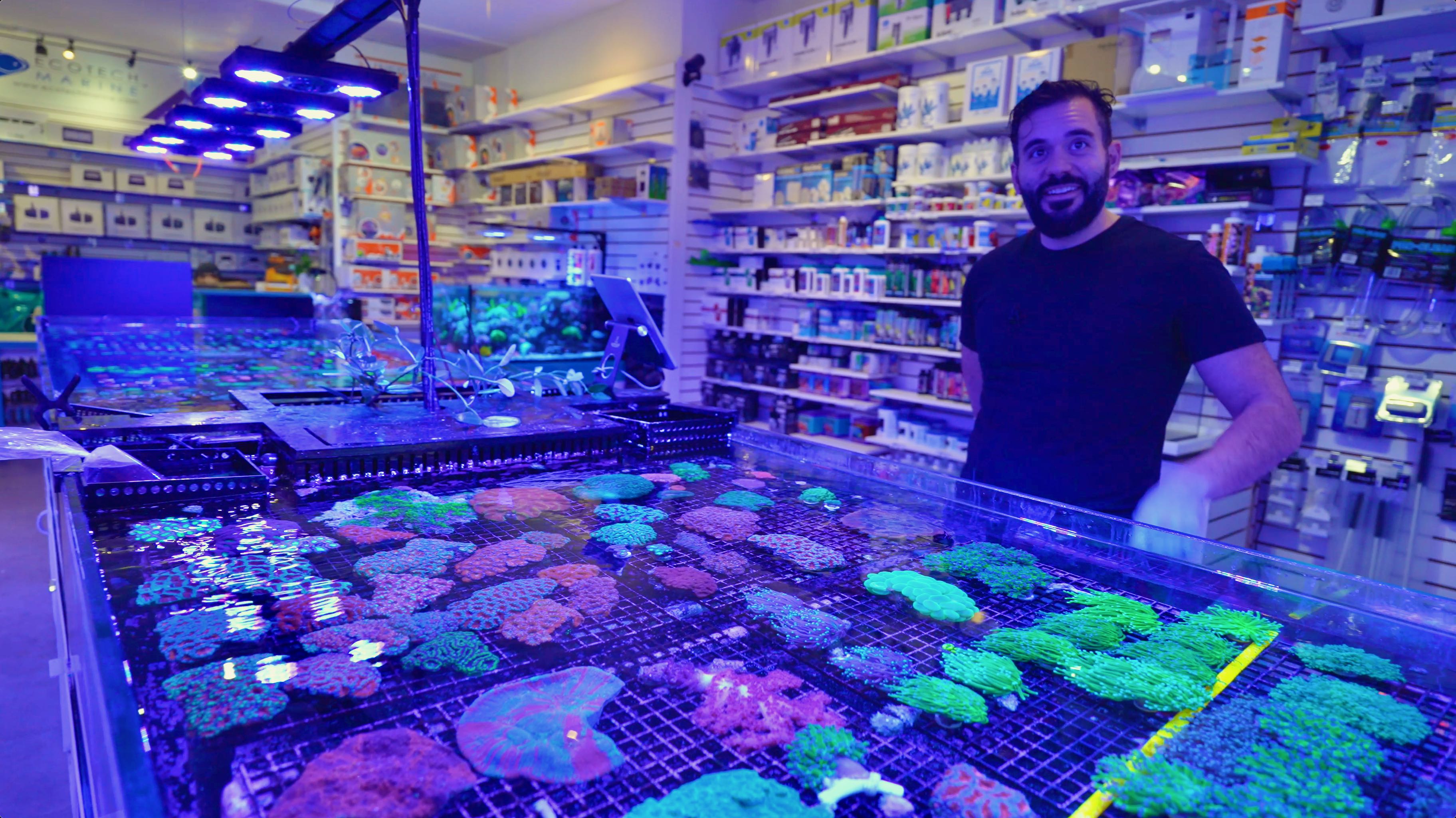 Ultimate Fragbox Coral Store Tour