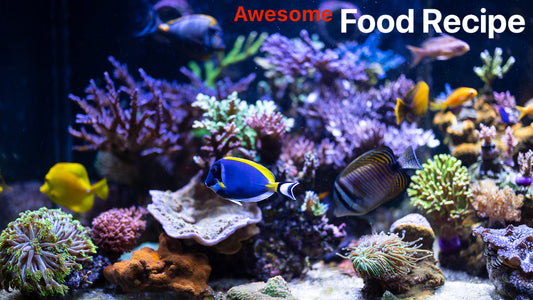 Awesome Food Recipe / How I Feed Fish / Pooping Anemone