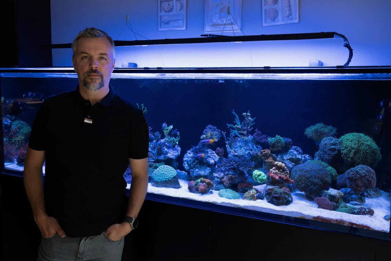 1-on-1 Reef Consultation with Dmitry
